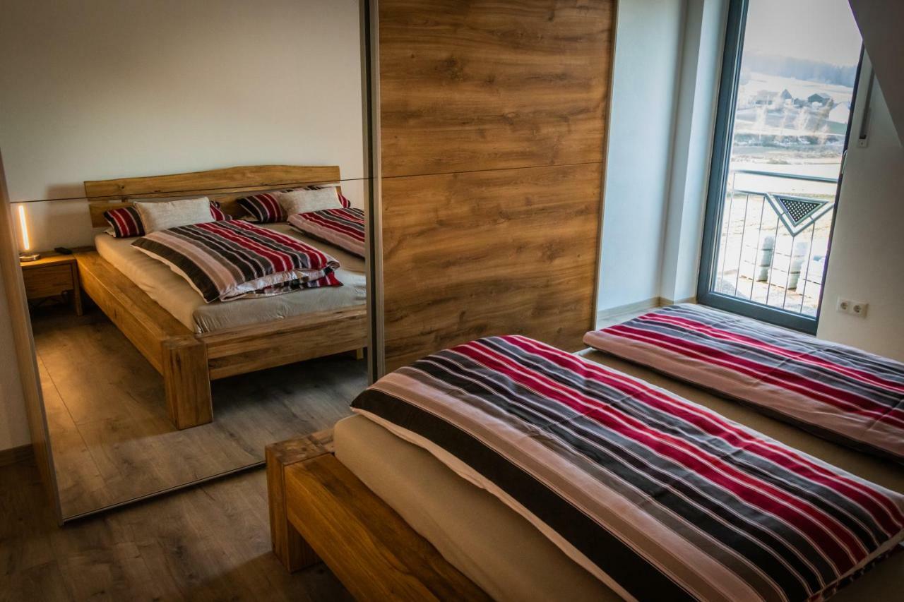 Neukirchen-Balbini Landhaus Ferienwohnungen Mit Pool Und Wellness מראה חיצוני תמונה