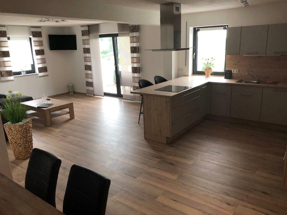 Neukirchen-Balbini Landhaus Ferienwohnungen Mit Pool Und Wellness מראה חיצוני תמונה